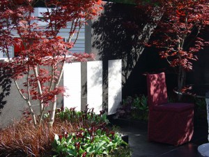 Chelsea Flower Show